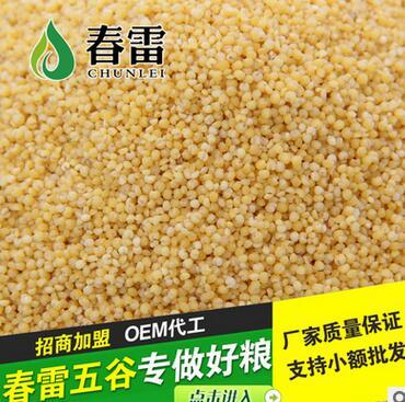 劃算的熟小米供應，盡在東旭糧油調(diào)味品——品質(zhì)與價值的完美平衡