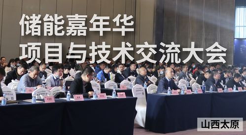 2020儲(chǔ)能嘉年華項(xiàng)目與技術(shù)交流大會(huì)圓滿落幕 共探儲(chǔ)能未來，共享技術(shù)盛宴
